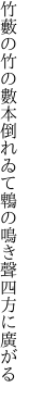 竹藪の竹の數本倒れゐて 鵯の鳴き聲四方に廣がる