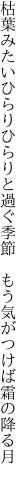 枯葉みたいひらりひらりと過ぐ季節　 もう気がつけば霜の降る月