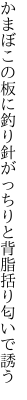 かまぼこの板に釣り針がっちりと 背脂括り匂いで誘う