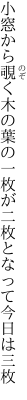 小窓から覗く木の葉の一枚が 二枚となって今日は三枚