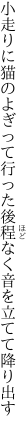 小走りに猫のよぎって行った後 程なく音を立てて降り出す