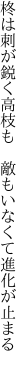 柊は刺が鋭く高枝も 　敵もいなくて進化が止まる