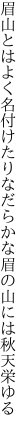 眉山とはよく名付けたりなだらかな 眉の山には秋天栄ゆる