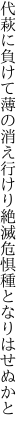 代萩に負けて薄の消え行けり 絶滅危惧種となりはせぬかと