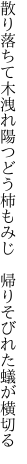 散り落ちて木洩れ陽つどう柿もみじ　 帰りそびれた蟻が横切る