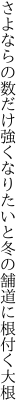 さよならの数だけ強くなりたいと 冬の舗道に根付く大根