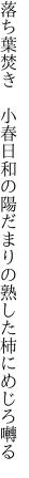 落ち葉焚き　小春日和の陽だまりの 熟した柿にめじろ囀る