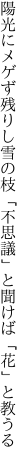 陽光にメゲず残りし雪の枝 「不思議」と聞けば「花」と教うる