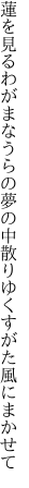蓮を見るわがまなうらの夢の中 散りゆくすがた風にまかせて