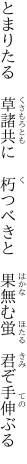 とまりたる　草諸共に　朽つべきと　 果無む蛍　君ぞ手伸ぶる