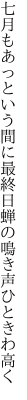 七月もあっという間に最終日 蝉の鳴き声ひときわ高く