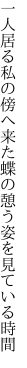 一人居る私の傍へ来た蝶の 憩う姿を見ている時間