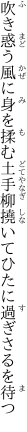 吹き惑う風に身を揉む土手柳 撓いてひたに過ぎさるを待つ