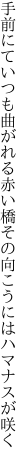 手前にていつも曲がれる赤い橋 その向こうにはハマナスが咲く