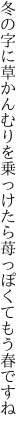 冬の字に草かんむりを乗っけたら 苺っぽくてもう春ですね