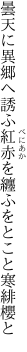 曇天に異郷へ誘ふ紅赤を 纏ふをとこと寒緋櫻と