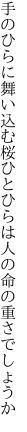 手のひらに舞い込む桜ひとひらは 人の命の重さでしょうか