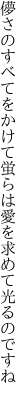 儚さのすべてをかけて蛍らは 愛を求めて光るのですね