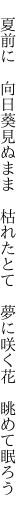  夏前に 向日葵見ぬまま 枯れたとて  夢に咲く花 眺めて眠ろう