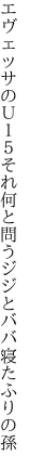 エヴェッサのＵ１５それ何と 問うジジとババ寝たふりの孫