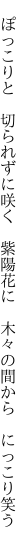 　ぽっこりと　切られずに咲く　紫陽花に 　木々の間から　にっこり笑う