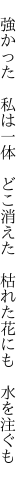 　強かった　私は一体　どこ消えた 　枯れた花にも　水を注ぐも