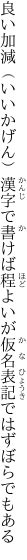 良い加減（いいかげん）漢字で書けば程よい が仮名表記ではずぼらでもある