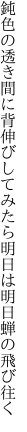 鈍色の透き間に背伸びしてみたら 明日は明日蝉の飛び往く