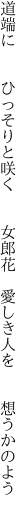 道端に  ひっそりと咲く  女郎花  愛しき人を  想うかのよう