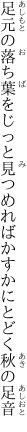 足元の落ち葉をじっと見つめれば かすかにとどく秋の足音