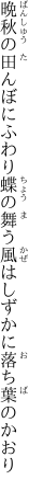 晩秋の田んぼにふわり蝶の舞う 風はしずかに落ち葉のかおり