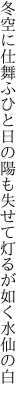 冬空に仕舞ふひと日の陽も失せて 灯るが如く水仙の白