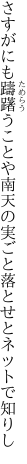 さすがにも躊躇うことや南天の 実ごと落とせとネットで知りし