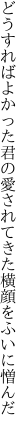 どうすればよかった君の愛されて きた横顔をふいに憎んだ