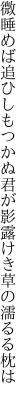 微睡めば追ひしもつかぬ君が影 露けき草の濡るる枕は