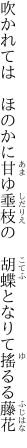 吹かれては　ほのかに甘ゆ埀枝の 　胡蝶となりて搖るる藤花