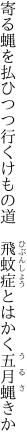 寄る蝿を払ひつつ行くけもの道　 飛蚊症とはかく五月蝿きか