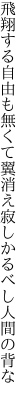 飛翔する自由も無くて翼消え 寂しかるべし人間の背な