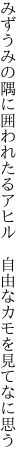 みずうみの隅に囲われたるアヒル  自由なカモを見てなに思う