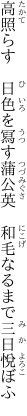 高照らす　日色を冩す蒲公英 　和毛なるまで三日悅ぼふ