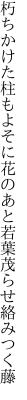 朽ちかけた柱もよそに花のあと 若葉茂らせ絡みつく藤