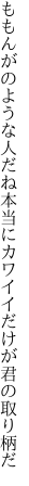 ももんがのような人だね本当に カワイイだけが君の取り柄だ