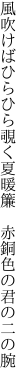 風吹けばひらひら覗く夏暖簾 　赤銅色の君の二の腕