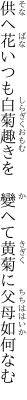 供へ花いつも白菊趣きを 　變へて黄菊に父母如何なむ