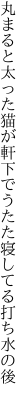 丸まると太った猫が軒下で うたた寝してる打ち水の後