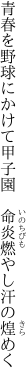 青春を野球にかけて甲子園 　命炎燃やし汗の煌めく