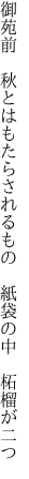 御苑前　秋とはもたらされるもの 　紙袋の中　柘榴が二つ