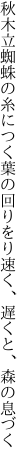 秋木立蜘蛛の糸につく葉の回りをり 速く、遅くと、森の息づく