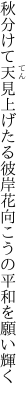 秋分けて天見上げたる彼岸花 向こうの平和を願い輝く