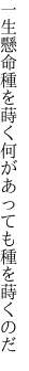 一生懸命種を蒔く 何があっても種を蒔くのだ